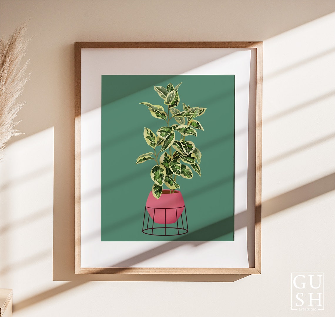 Variegated Rubber Plant Print Pink Pot Deep Green Background