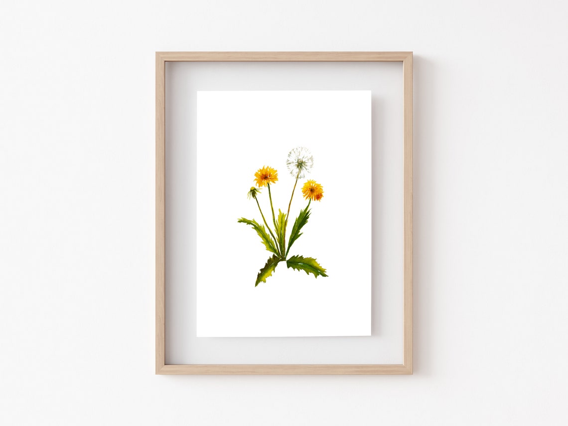 Delicate Dandelion Watercolor Botanical Minimalist Fine Art Poster