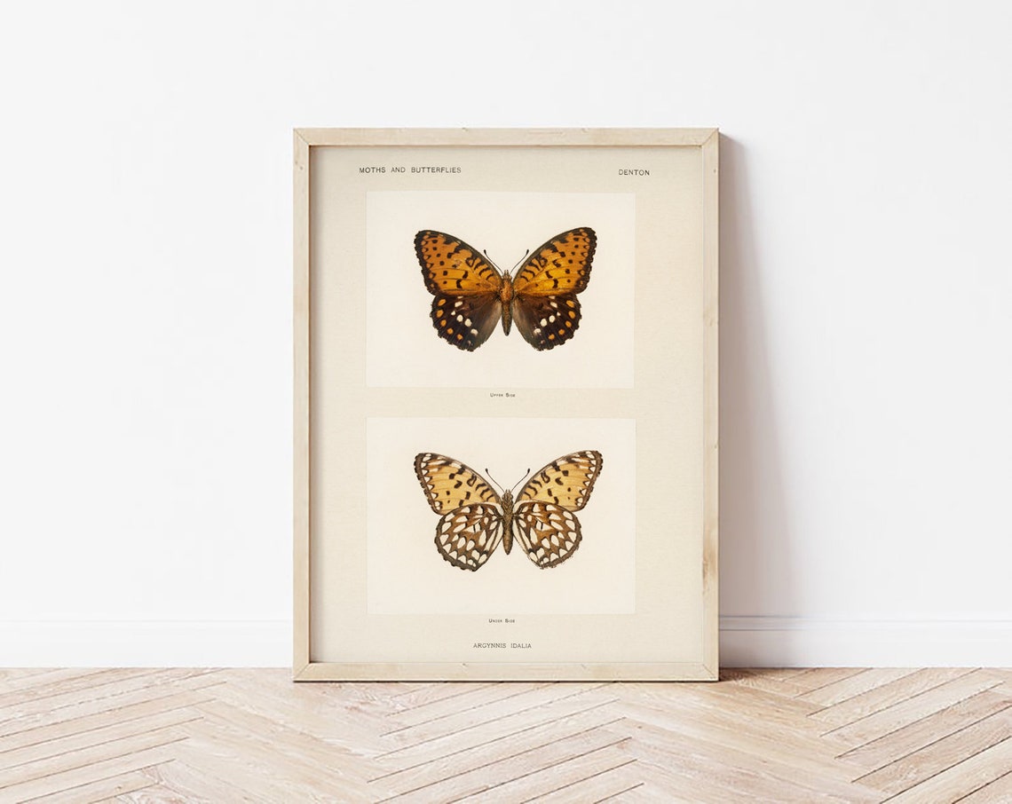 Vintage Butterfly Art Vintage Illustration Nursery Decor Neutral Art Art - Image 3