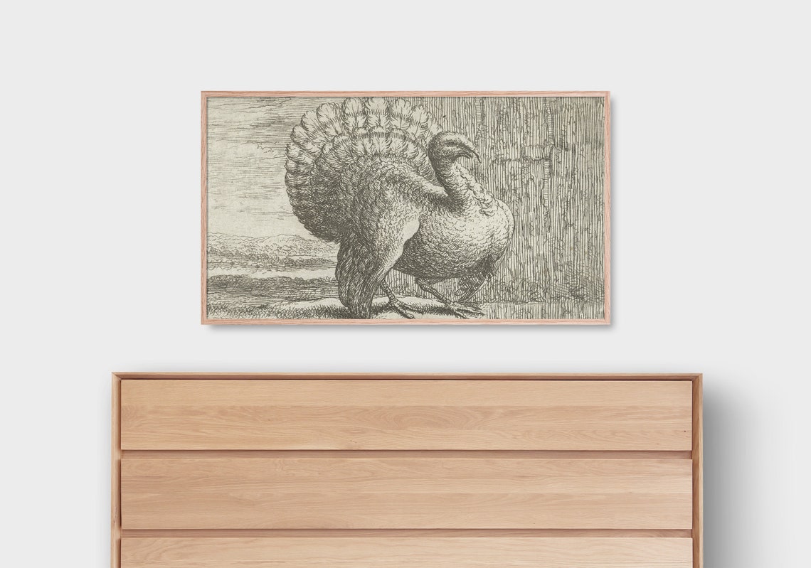 Vintage Turkey Engraving Antique Thanksgiving Bird Frame TV Wall Art - Image 2
