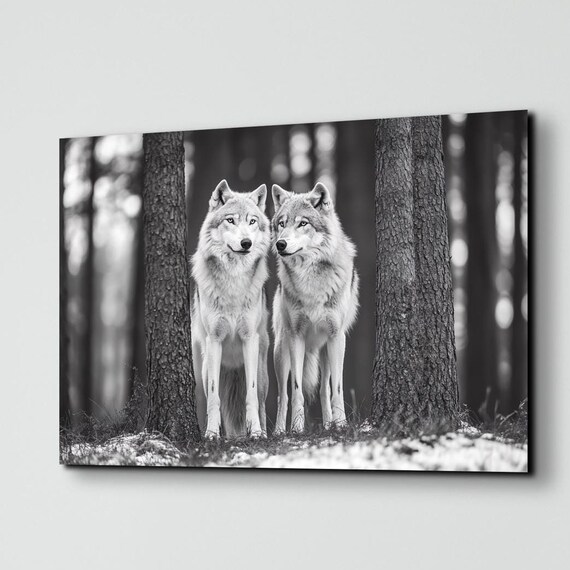 Two Gray Wolves Between Pine Trees Black and White Photo Poster