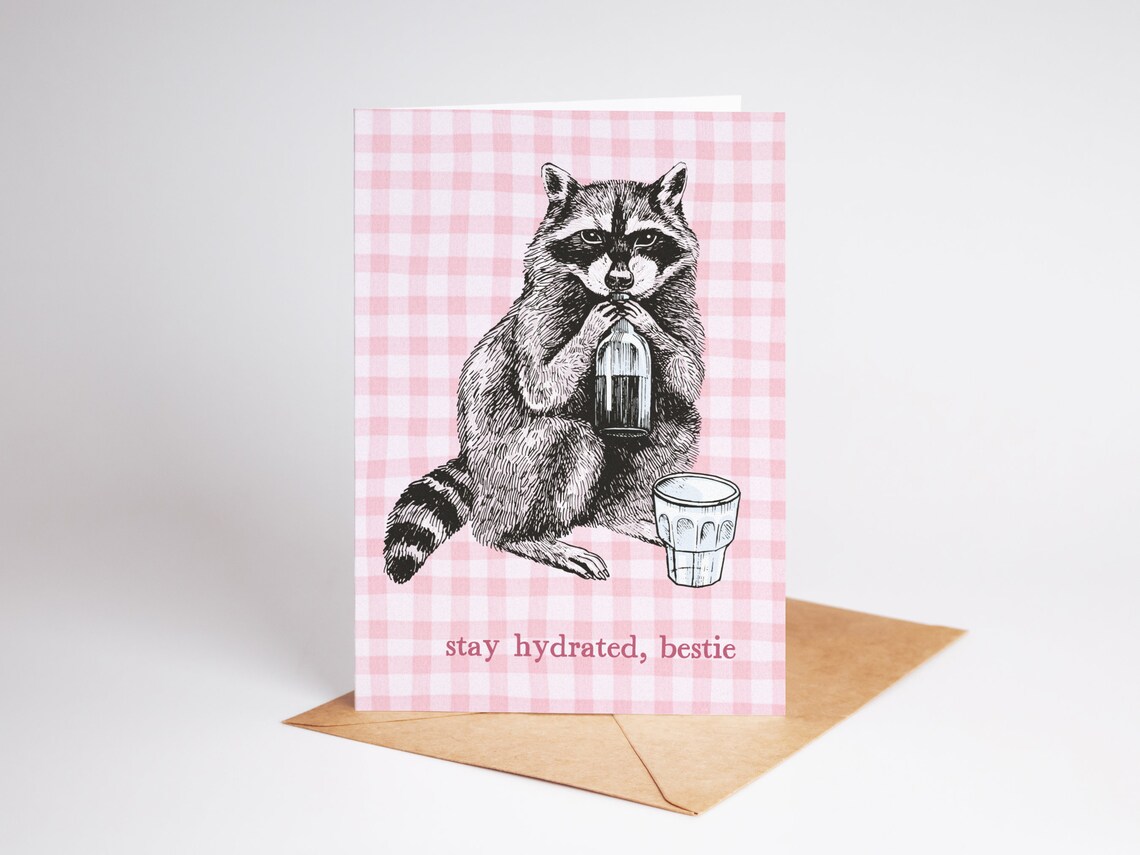 Stay Hydrated Bestie Raccoon Funny Sketch Pink Gingham Card Art Poster - Image 2