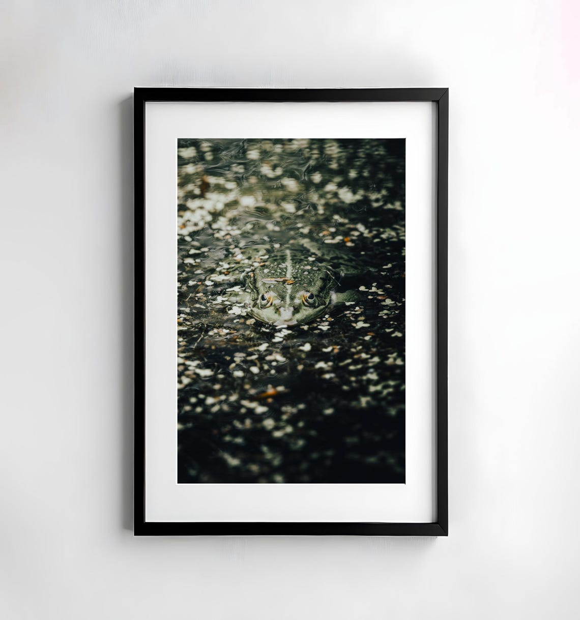 Green Frog Eyes Above Dark Pond Water Amphibian Macro Wildlife Poster