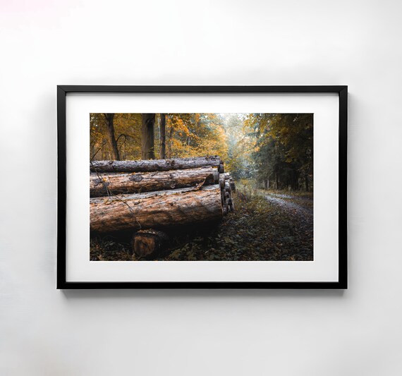 Stacked Timber Logs Autumn Forest Path Rustic Woodland Poster