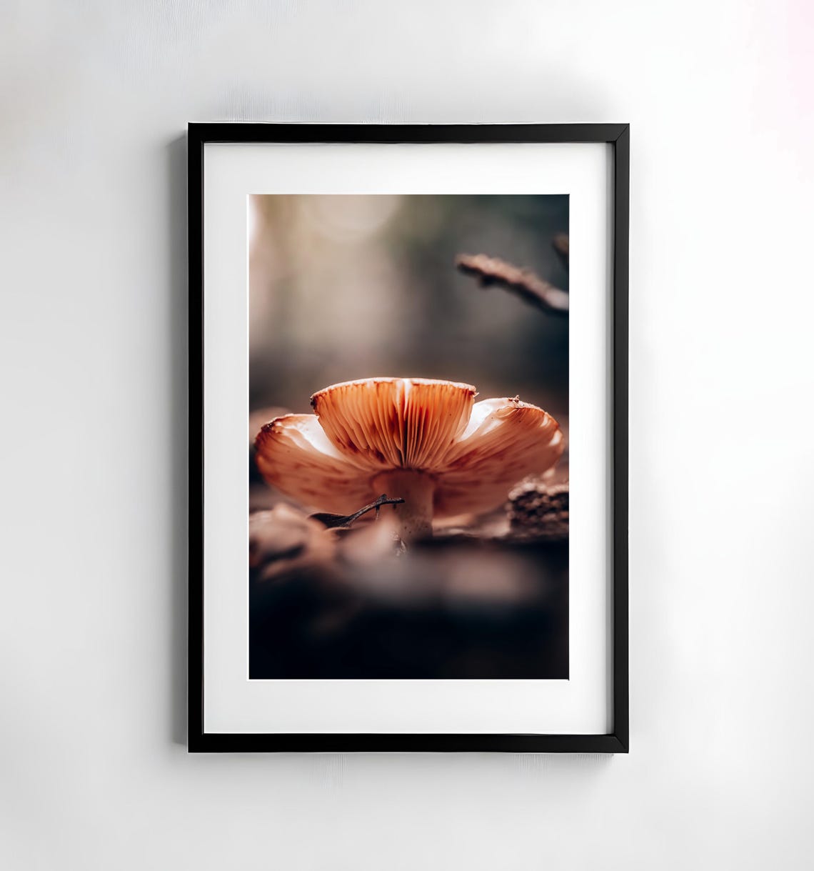 Glowing Orange Mushroom Cap Detailed Macro Fungi Photography Poster