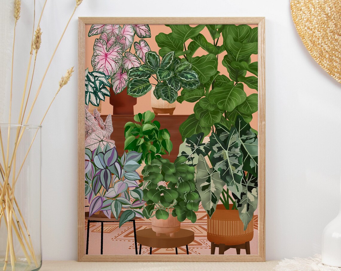 Houseplant Collection on Stands with Terracotta Pots Indoor Poster
