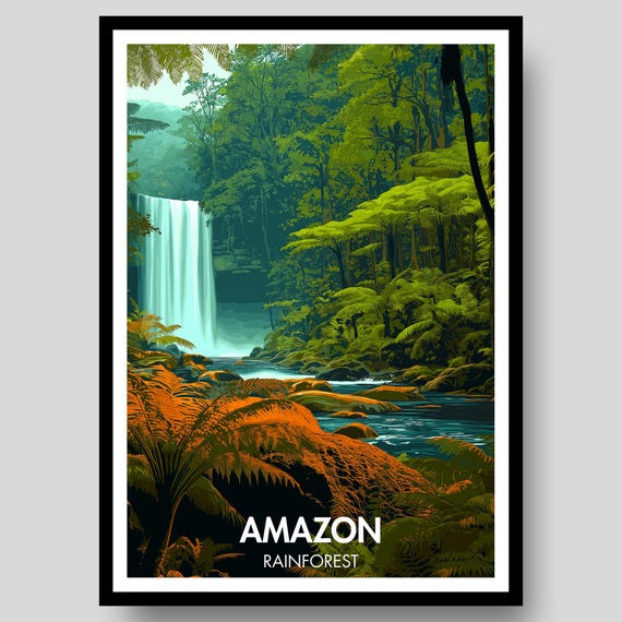 Amazon Rainforest Poster Print South America Brazil
