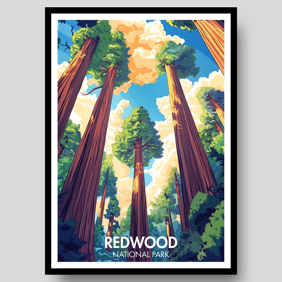 Redwood National Park Giant Redwood Forest Canopy View Poster