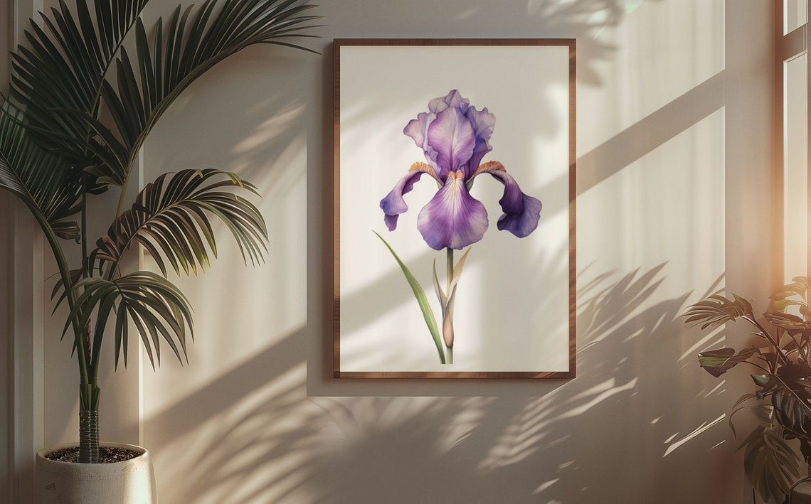 Purple Bearded Iris Single Bloom Watercolour Botanical Poster - Image 5