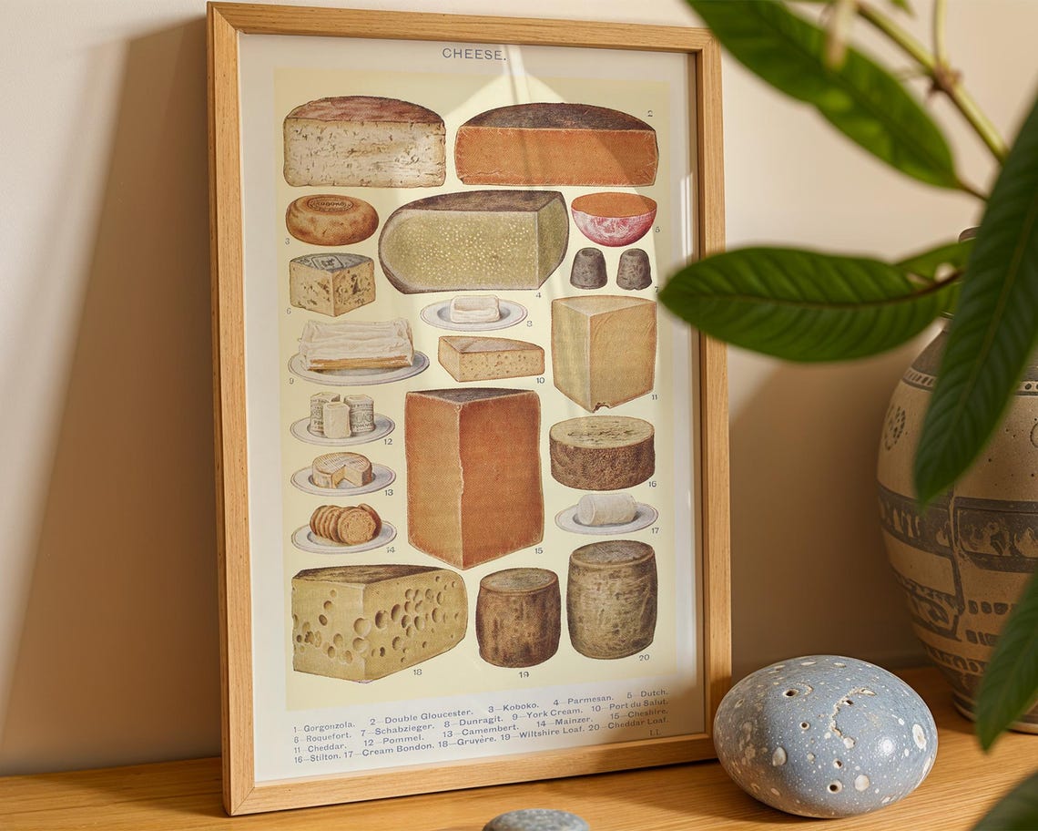 Vintage Cheese Chart Educational Illustration Retro Kitchen Art Poster