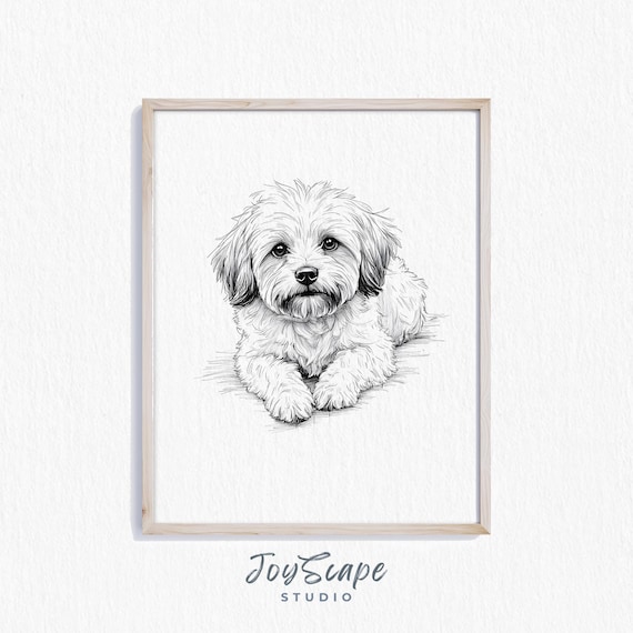 Havanese Dog Sketch Rustic Pet Portrait Wall Art Charming Illustration Vintage Style Decor Print