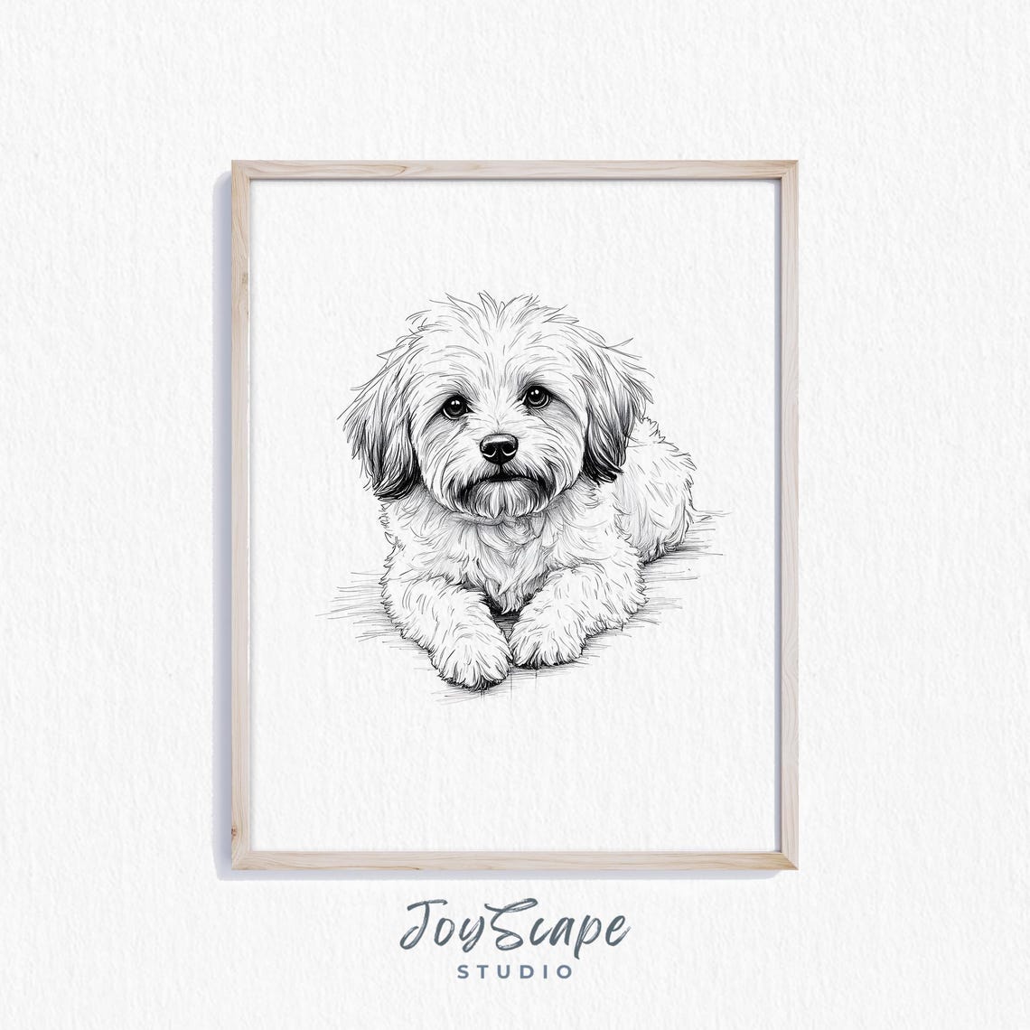 Havanese Puppy Pencil Sketch Black and White Fluffy Dog Poster
