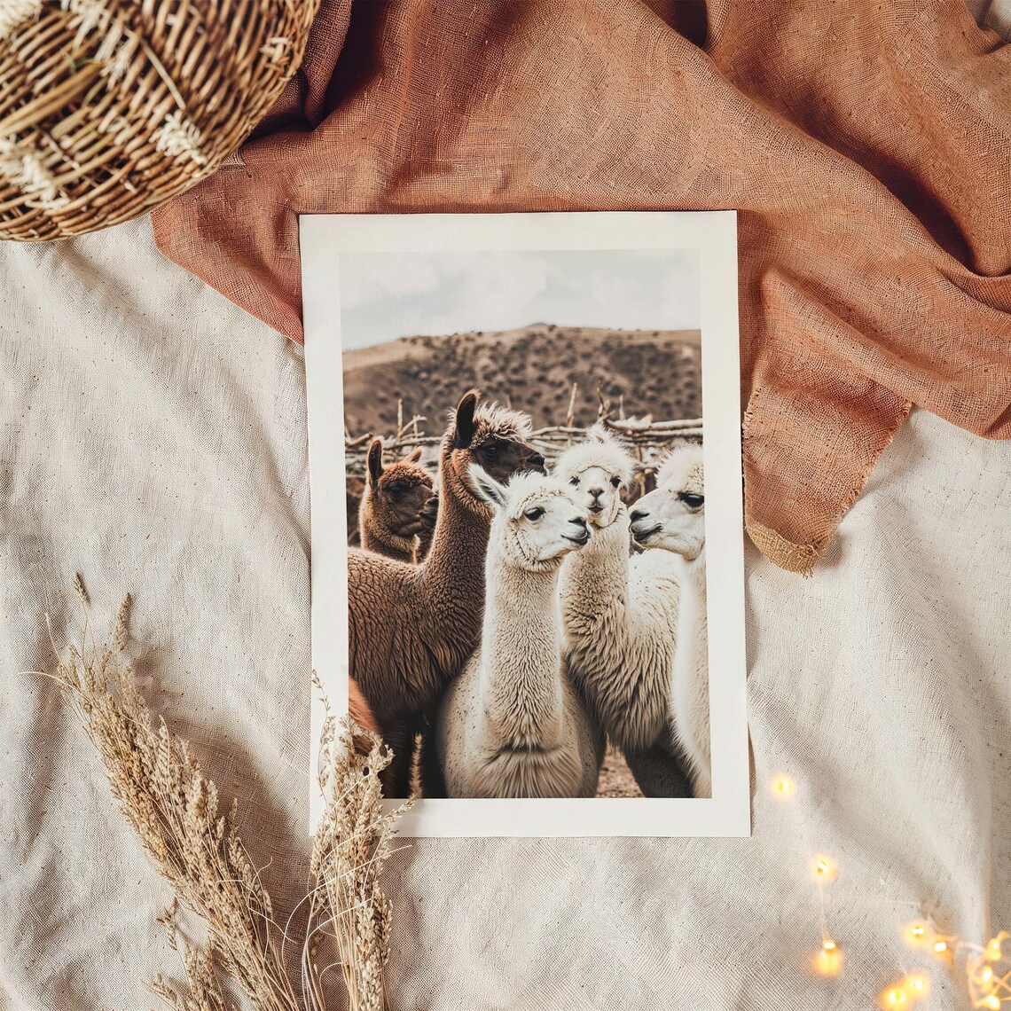 Vintage Alpaca Photography Poster, Peru Steppe - Image 2