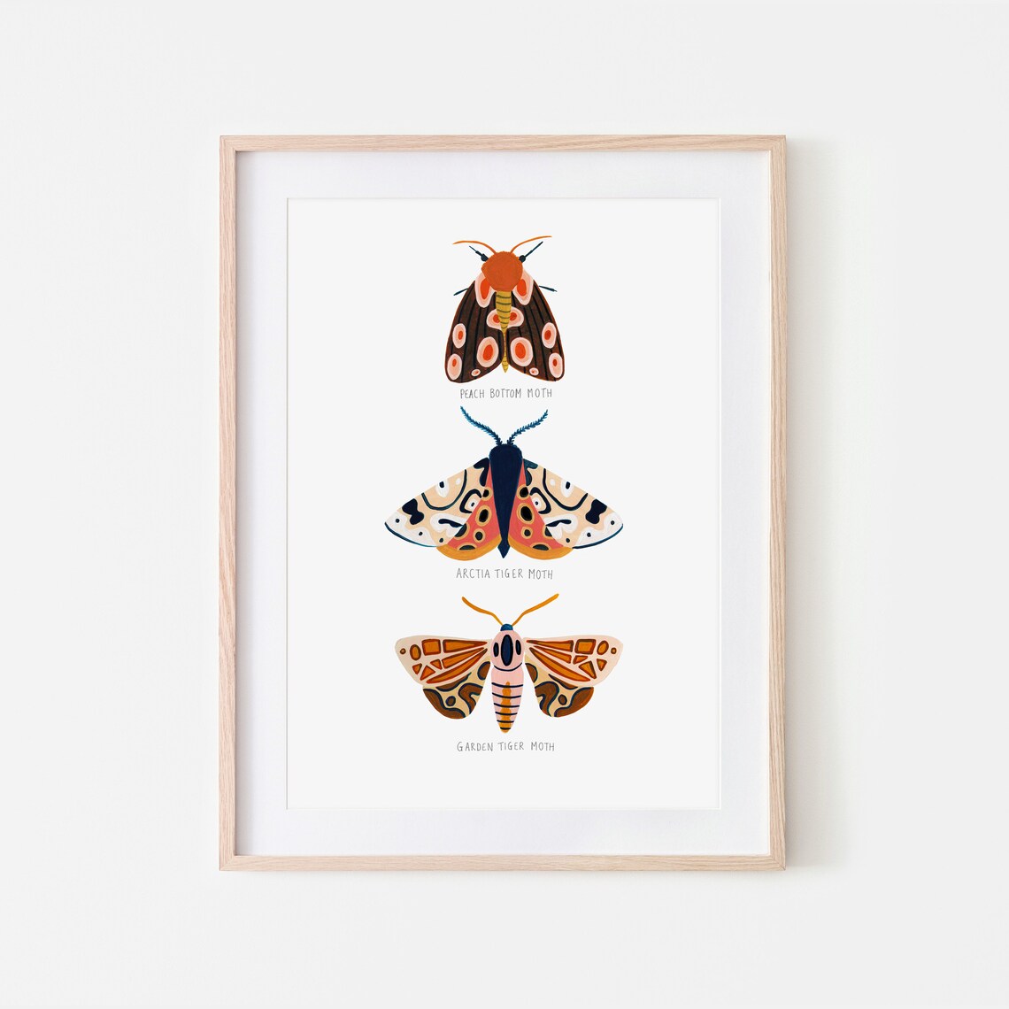 Moth Trio Art Print, Woodland Nursery Decor