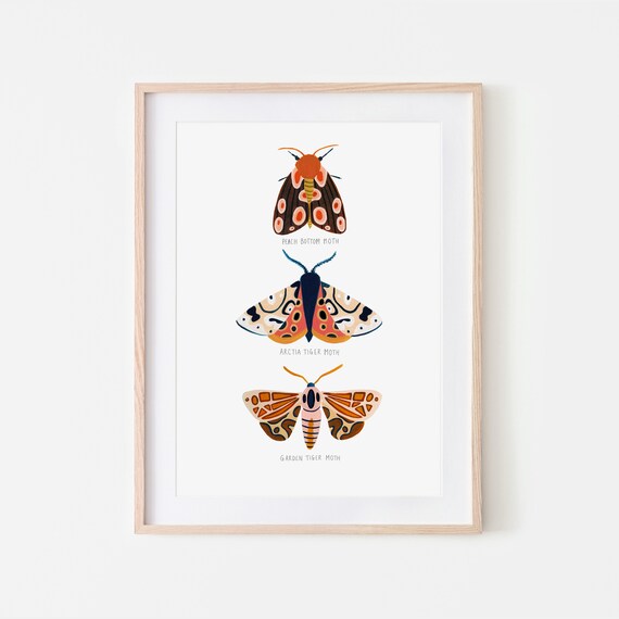 Moth Trio Art Print, Woodland Nursery Decor