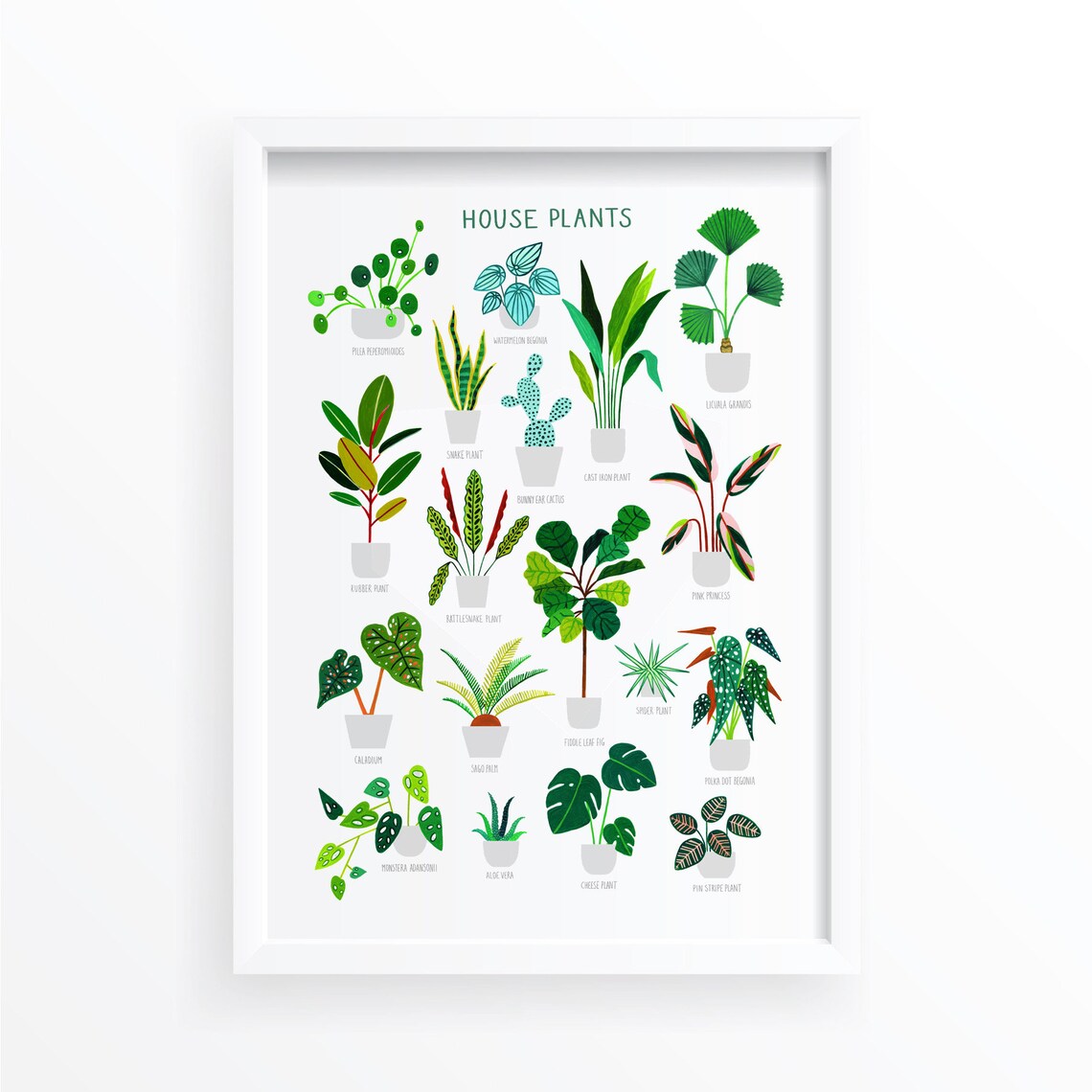 House Plants Botanical Art Print, Botanical Wall Decor