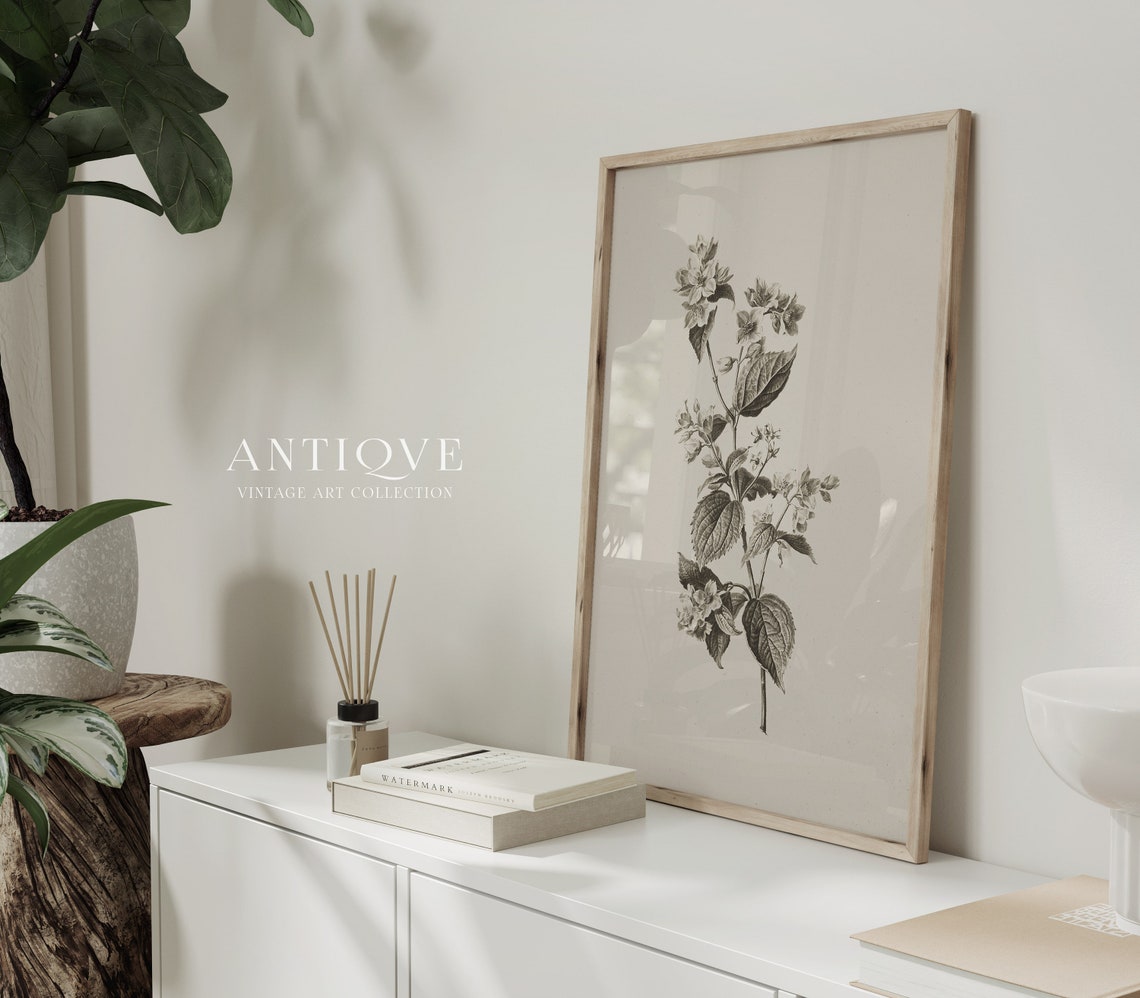 Flower Sketch Botanical Artwork Poster - Image 4