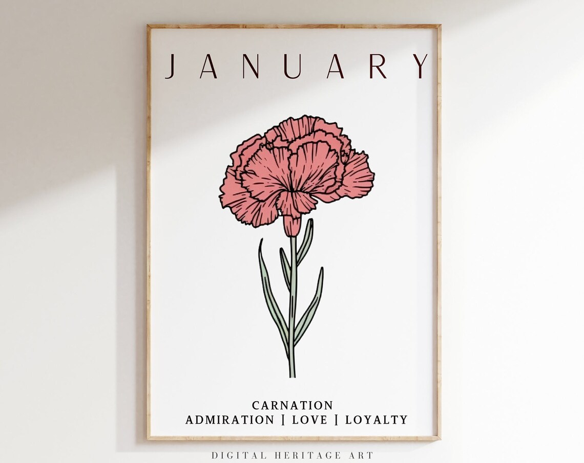 January Birth Flower Carnation Love Loyalty Botanical Art Poster