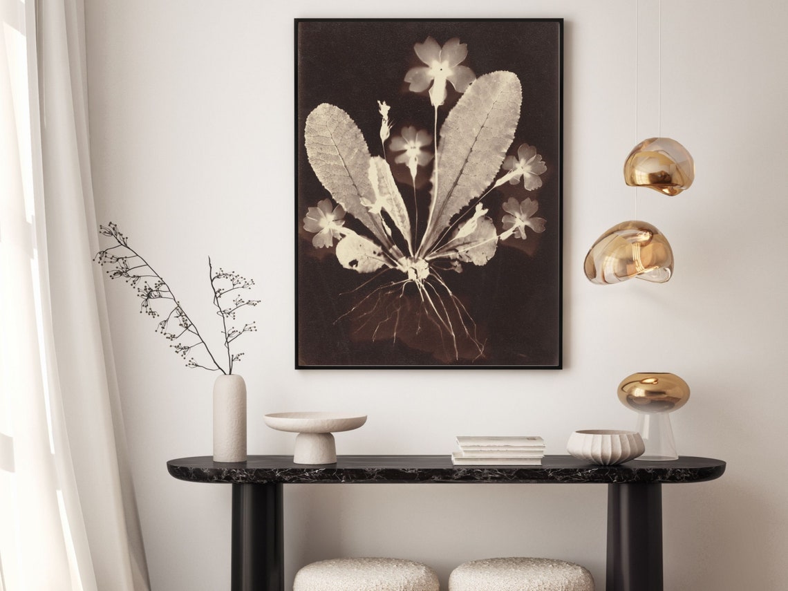 Haunting Botanical Photogram Sepia Wildflowers Roots Nature Wall Art - Image 2