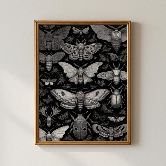 Vintage Moth Print Modern Wall Art Bedroom Collected Prints Cpp693
