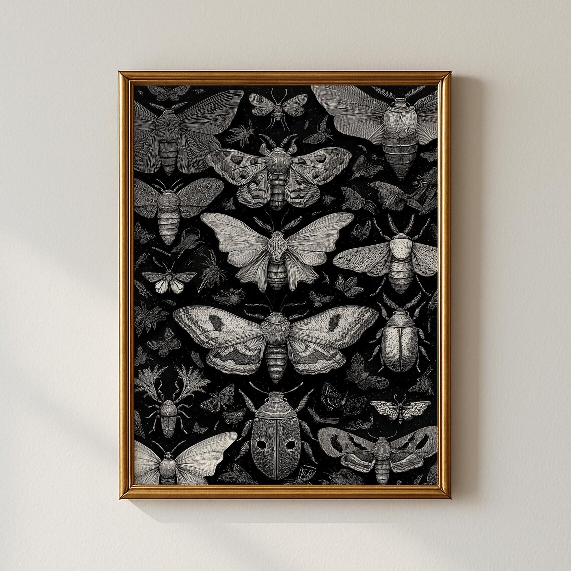 Vintage Moth Print with Black and White Engraving Style Moth Collection