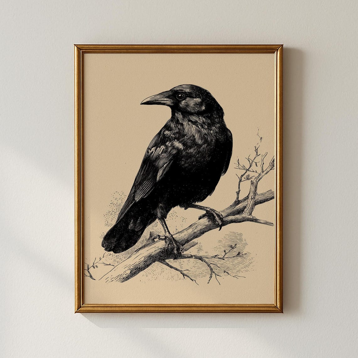 Vintage Crow Engraving on Branch Classic Bird Illustration Poster