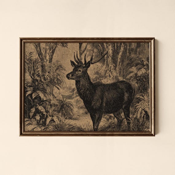 Vintage Deer Print Botanical Gallery Wall Art Collected Prints Cpl639