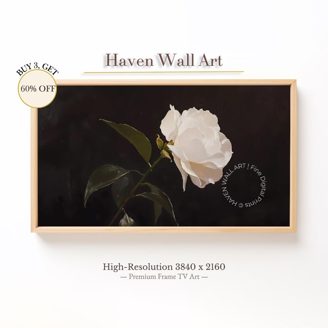 White Rose On Dark Background Elegant Minimalist Floral Oil Art Poster