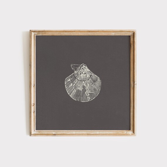 Nautical Shell Art Print, Trendy Decor Illustration