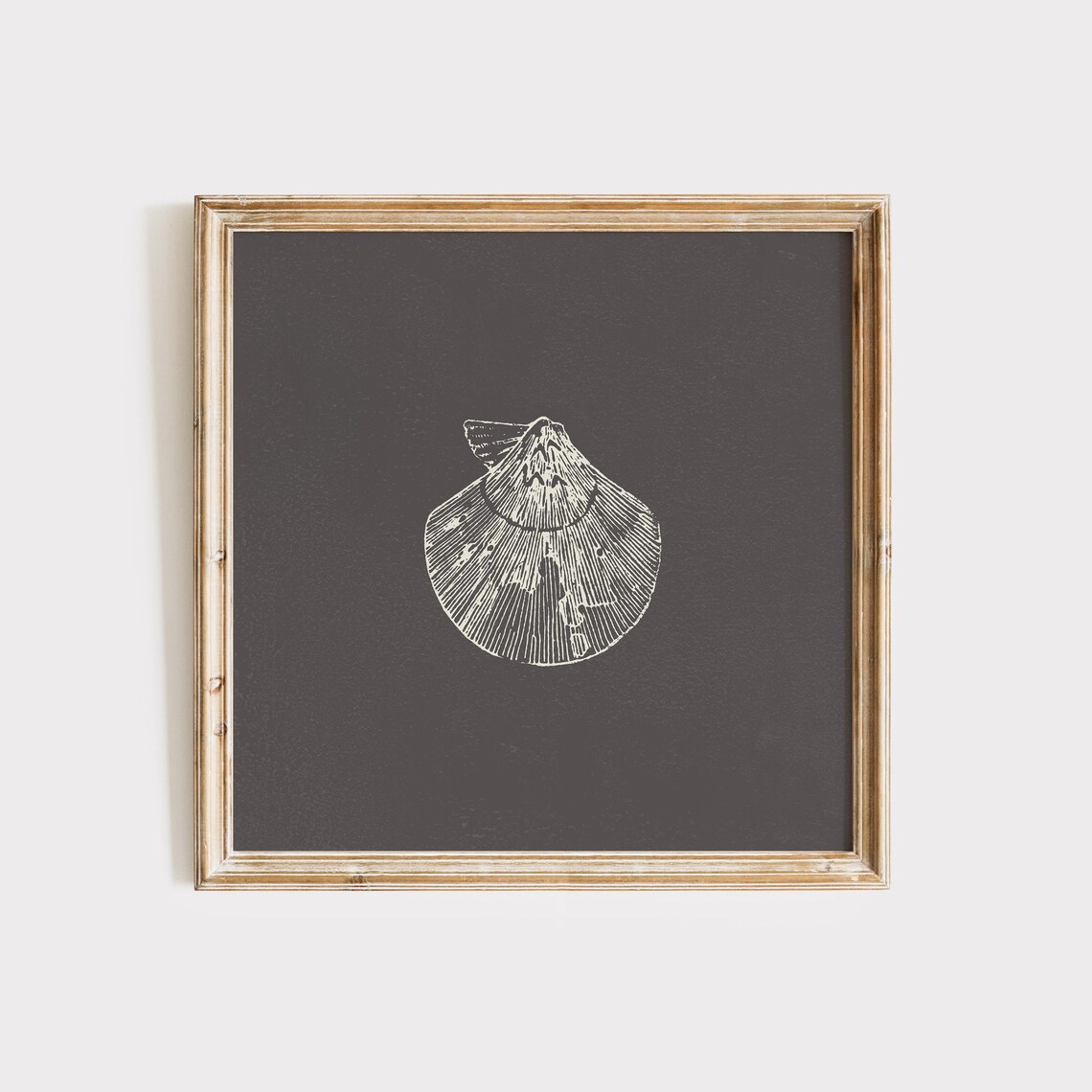 Nautical Shell Art Print, Trendy Decor Illustration