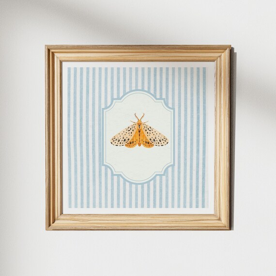 Spotted Orange Moth Vintage Illustration Blue Striped Poster