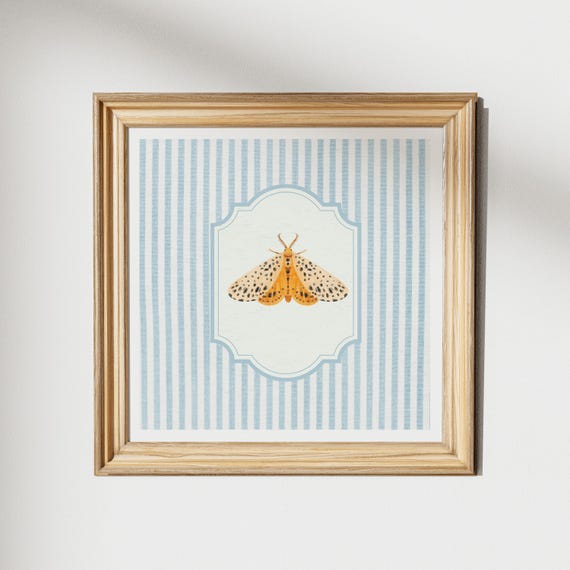 Vintage Striped Moth Butterfly Print Wall Art Kitchen Living Room Art Blue Thin Line Print Nursery Square Art