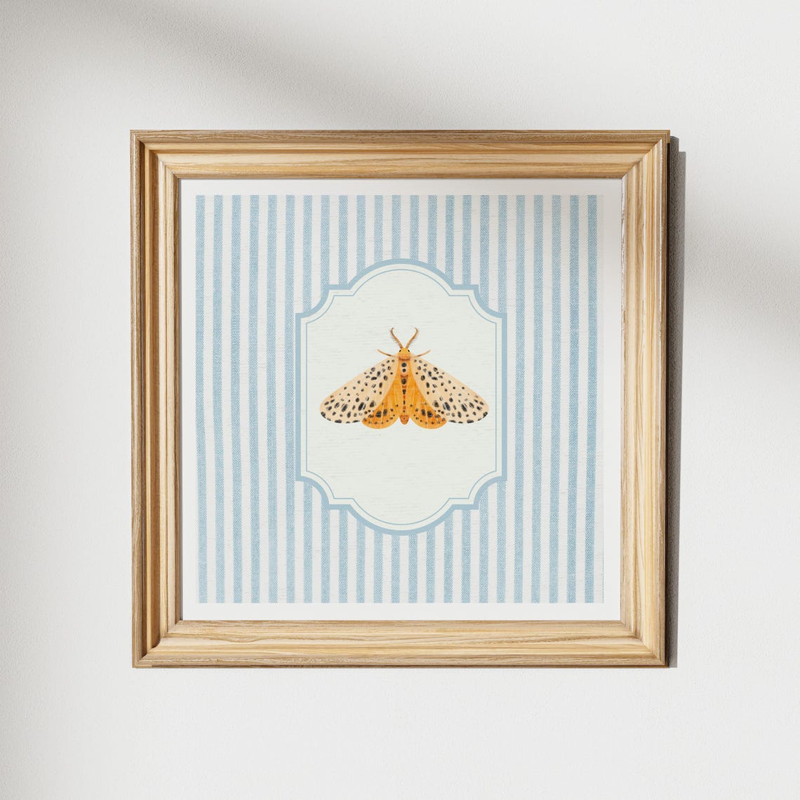 Spotted Orange Moth Vintage Illustration Blue Striped Poster