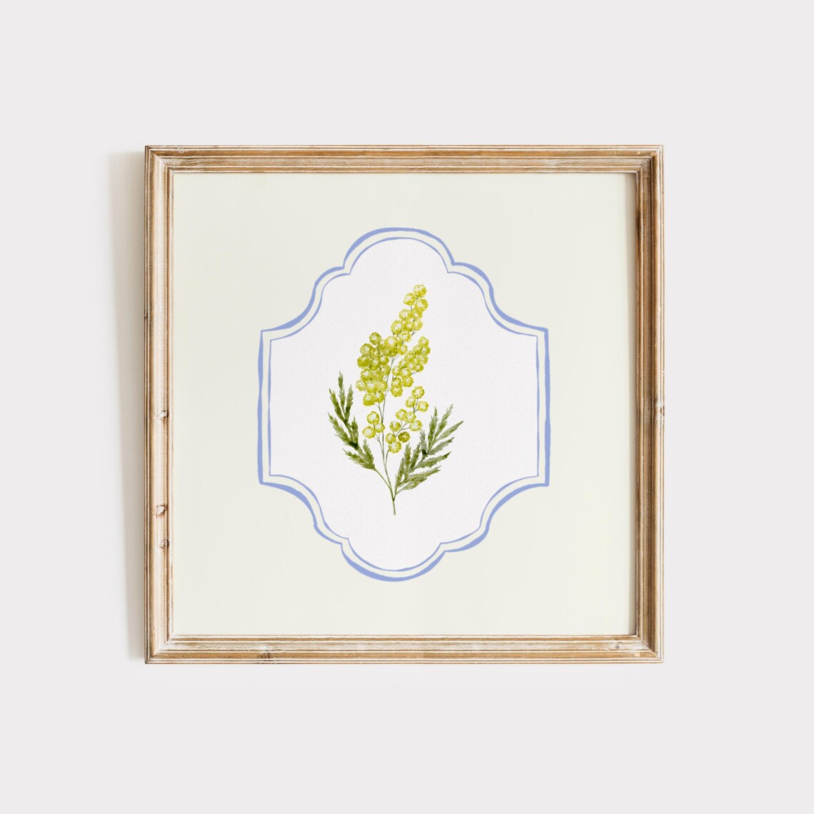 Golden Mimosa Blossom Sprig Watercolor Medallion Botanical Print
