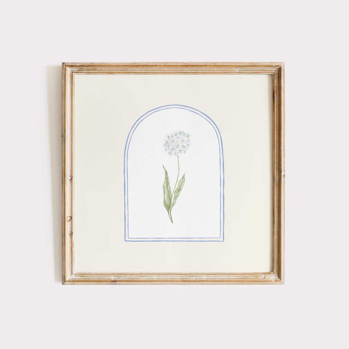White Allium Watercolor Arch Botanical Square Floral Decor Poster