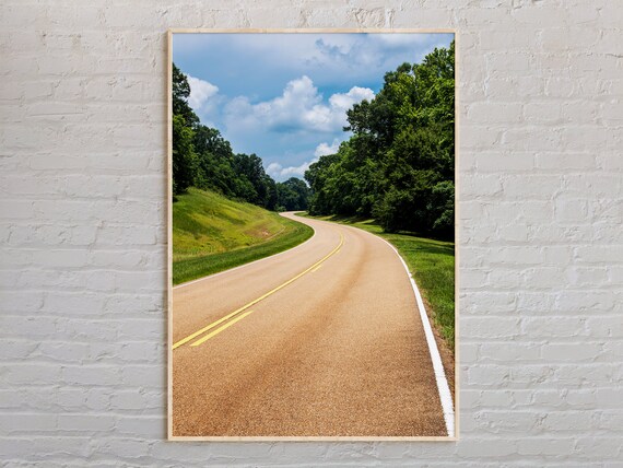 Mississippi Country Road Through Green Forest Real Photo Wall Art