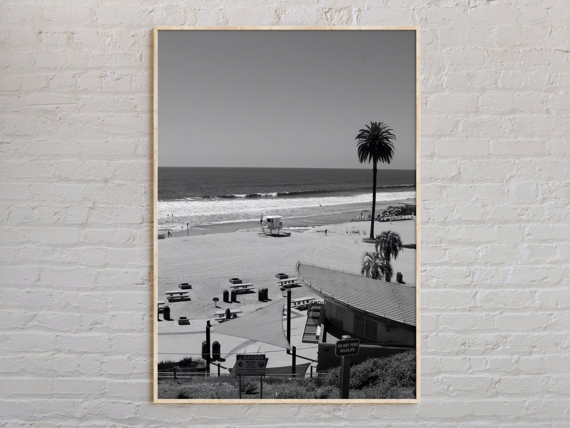 Encinitas Beach Palm Trees Coast Black And White Photo Poster