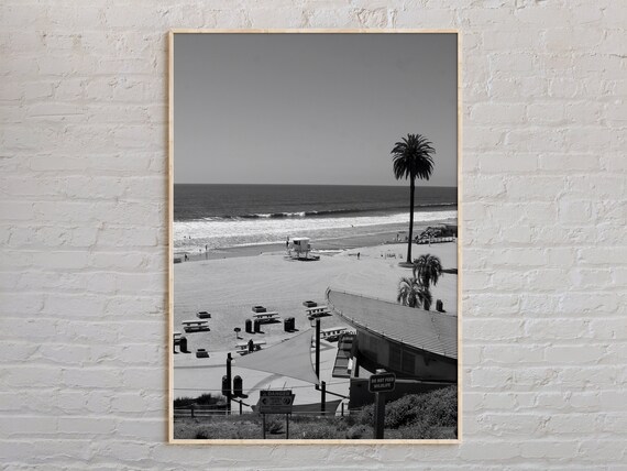 Encinitas Beach Palm Trees Coast Black And White Photo Poster