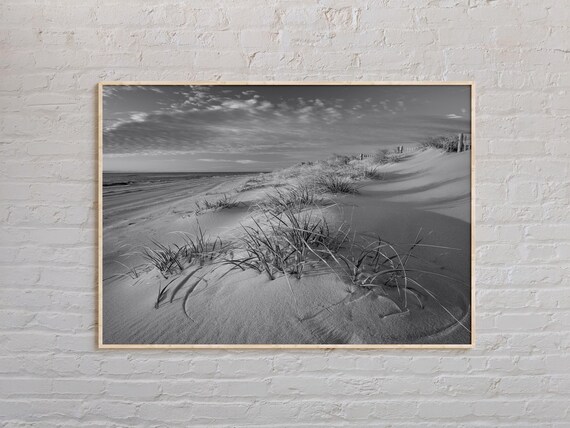 New Jersey Shore Sand Dunes Black and White Beach Grass Poster