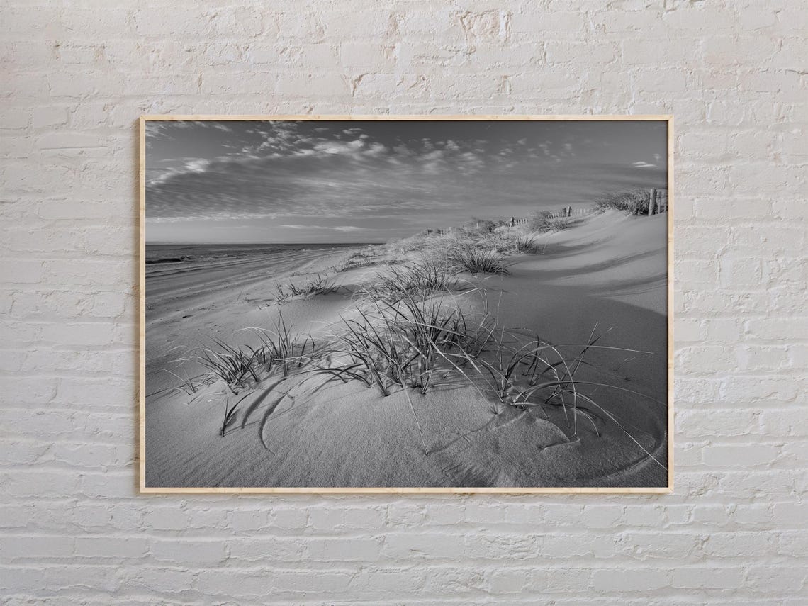 New Jersey Shore Sand Dunes Black and White Beach Grass Poster