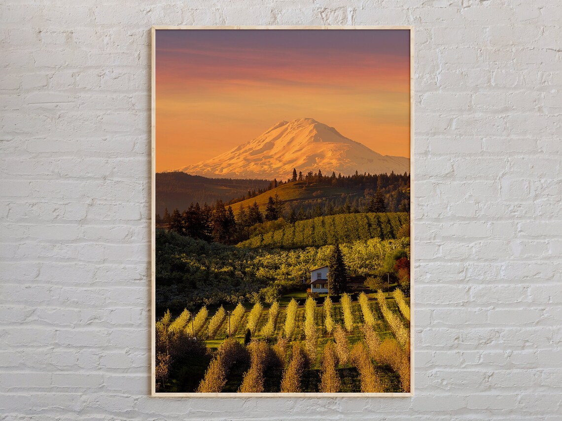 Oregon Mount Hood Sunrise Orchard Valley Mountain Farm Poster