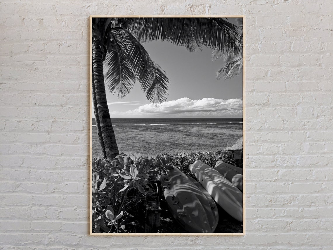 Black And White Palm Tree Kayak Tropical Beach Scene Photo Print