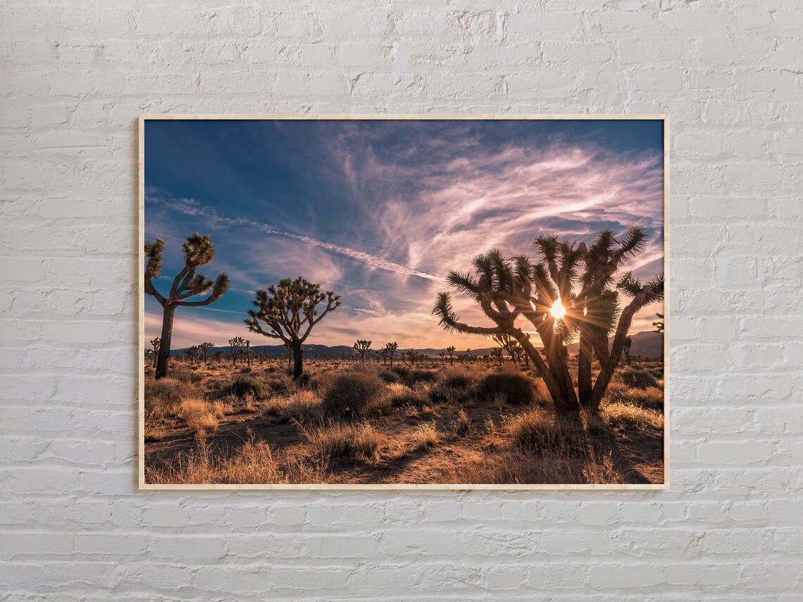 Joshua Tree Real Photo Art Print, Travel Poster