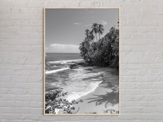 Black and White Costa Rica Travel Poster