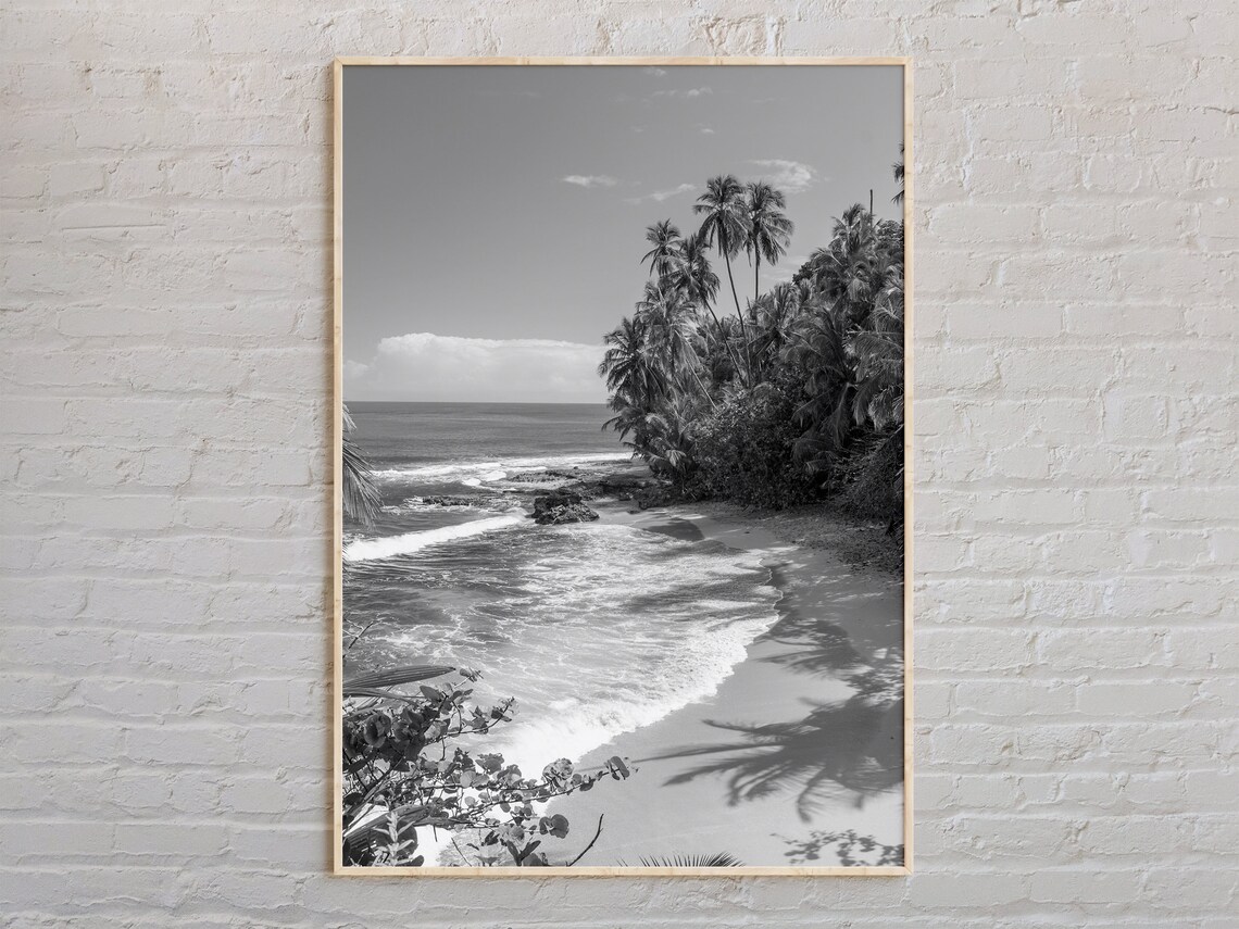 Black and White Costa Rica Travel Poster