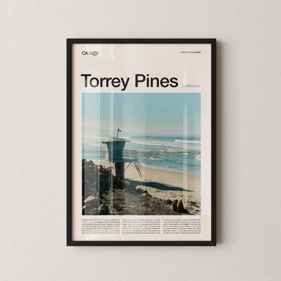 Torrey Pines California Beach Lifeguard Tower Editorial Poster