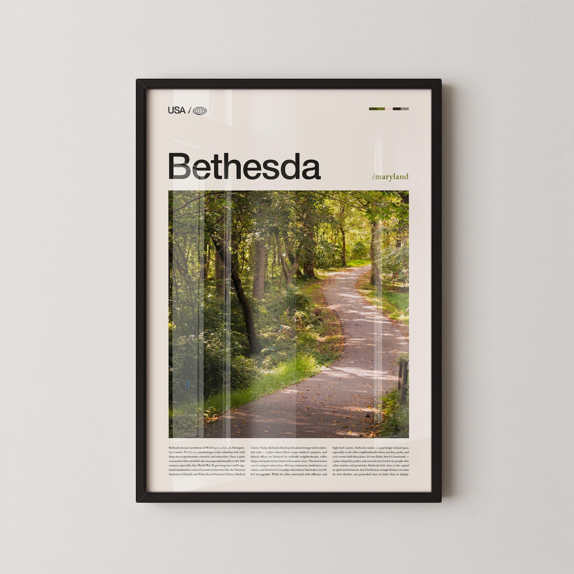 Bethesda Maryland Forest Path Nature Travel Photo Scenic Poster