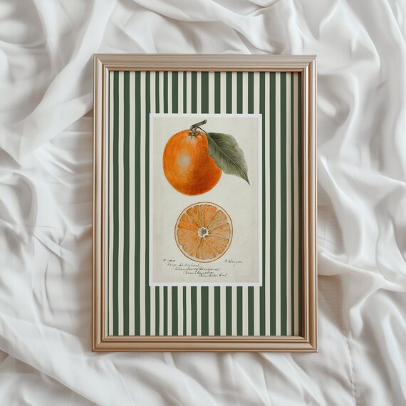 Orange Fruit Print, Modern Farmhouse Kitchen Art