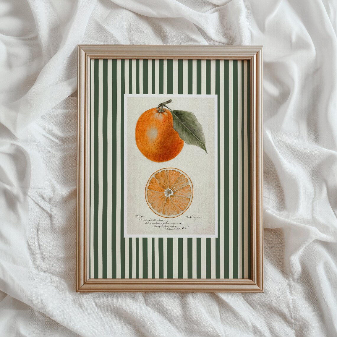 Orange Fruit Print, Modern Farmhouse Kitchen Art
