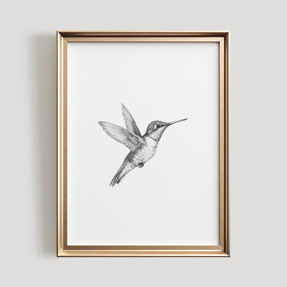 Hummingbird Sketch Black and White Bird Art Print